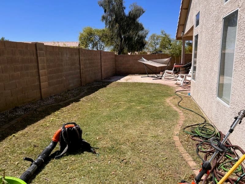 Impressive Backyard Transformation with Expert Lawn Care image