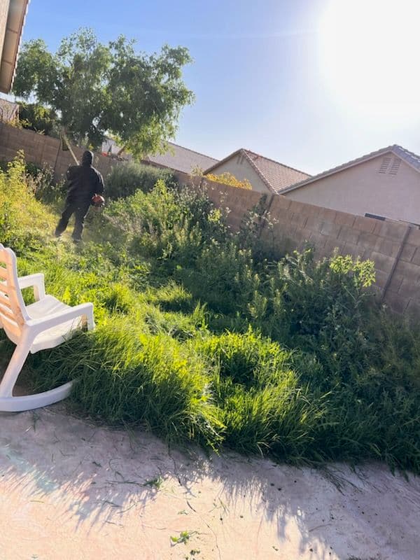 Gallery photos for Impressive Backyard Transformation with Expert Lawn Care: Image #1