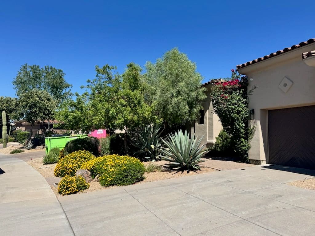 Beautiful Southwestern Drought-Tolerant Garden image